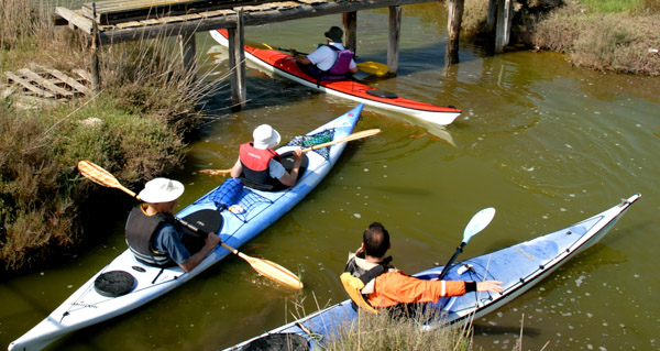 ayak-canoe-mer-camargue-languedoc-nature-eco-circuit-guide-13